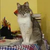 Отзыв от Вика Толкачева